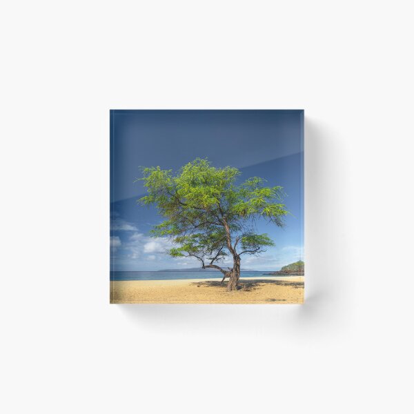 Item preview, Out of the Sand designed and sold by CopperSkyPhoto.