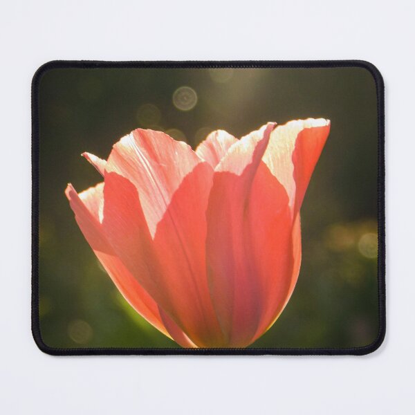 Item preview, Sunlit Tulip designed and sold by Nemoryra.
