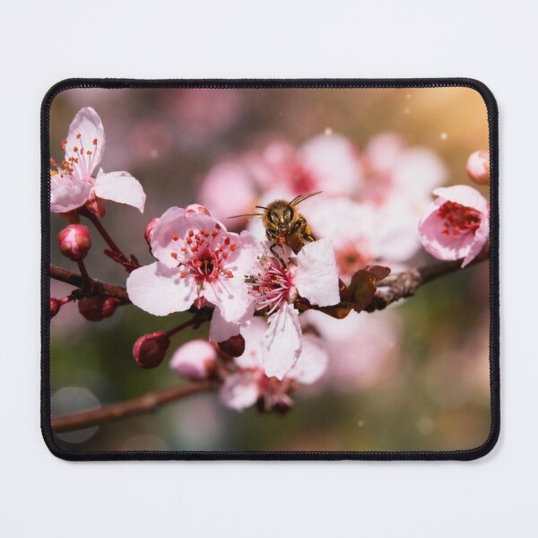 Item preview, Spring Pollinator designed and sold by Kimberly Palmer.