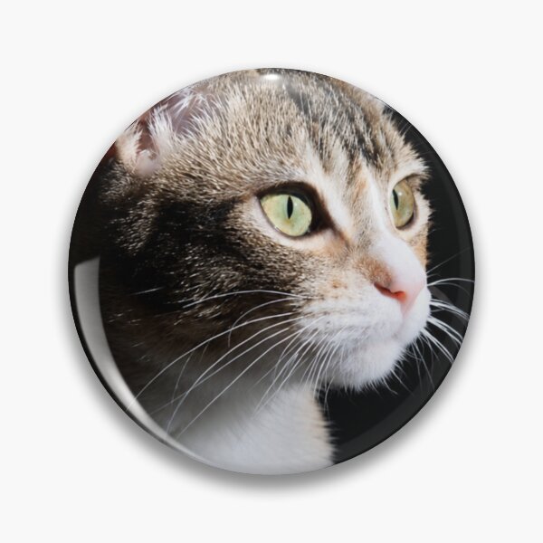 Item preview, Sunlit Cat Portrait designed and sold by Kimberly Palmer.