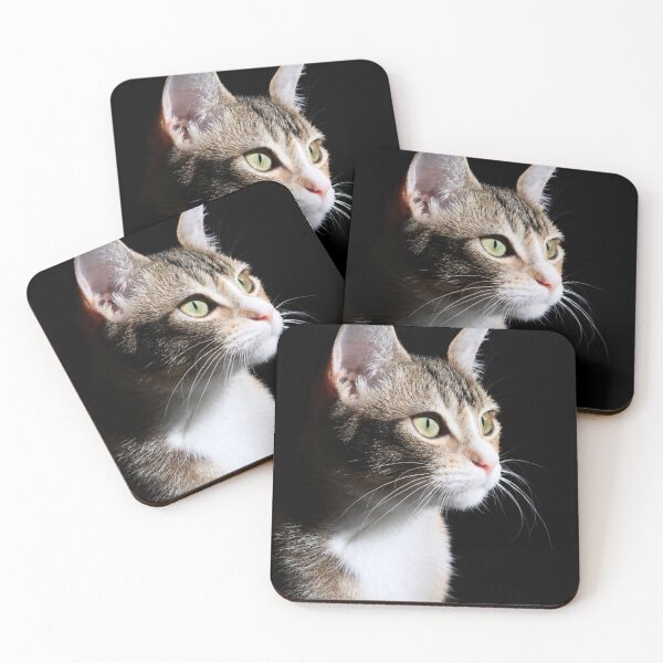 Item preview, Sunlit Cat Portrait designed and sold by Kimberly Palmer.