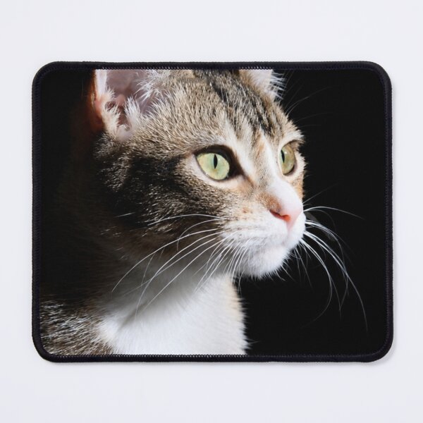 Item preview, Sunlit Cat Portrait designed and sold by Kimberly Palmer.