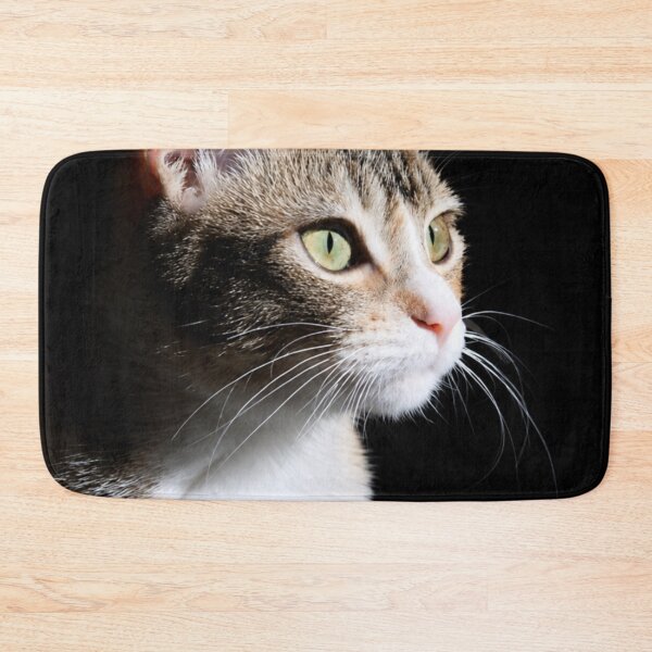 Item preview, Sunlit Cat Portrait designed and sold by Kimberly Palmer.