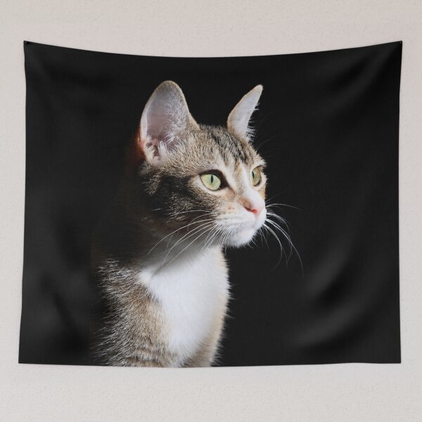 Item preview, Sunlit Cat Portrait designed and sold by Kimberly Palmer.