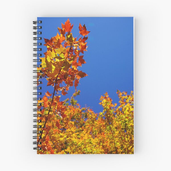 Item preview, Blue Fall Flame - Orange Red and Yellow Fall Leaves Against Bright Blue Sky designed and sold by Loveisthebtwd.