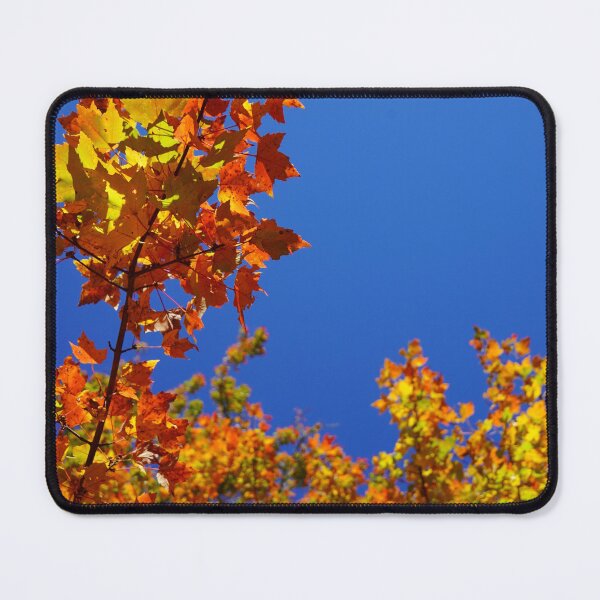 Item preview, Blue Fall Flame - Orange Red and Yellow Fall Leaves Against Bright Blue Sky designed and sold by Loveisthebtwd.