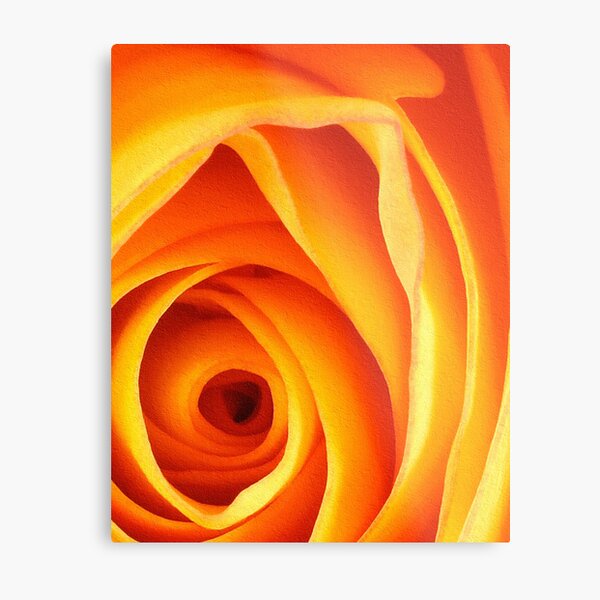 ~ Untitled ~ Metal Print