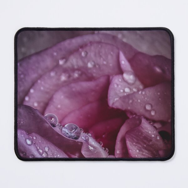 Item preview, Water droplets on a rose designed and sold by FreakInImpala.