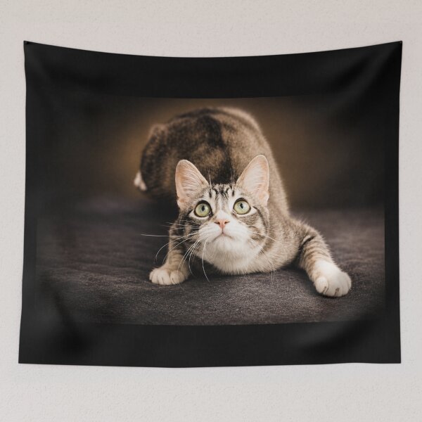 Item preview, Ready to Pounce designed and sold by Kimberly Palmer.