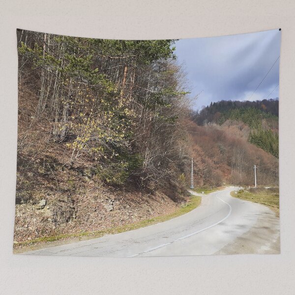 Item preview, Mountain Forest Road at Summer – Peaceful Nature from Romania designed and sold by MSMPrintDesign.