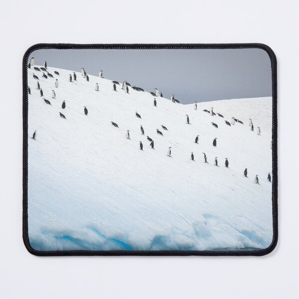 Item preview, Chinstrap Penguins on an Iceberg designed and sold by PhotoArt by Joan Carroll.