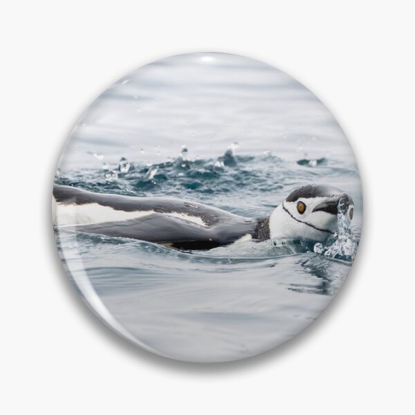 Item preview, Chinstrap Penguin Swimming designed and sold by PhotoArt by Joan Carroll.