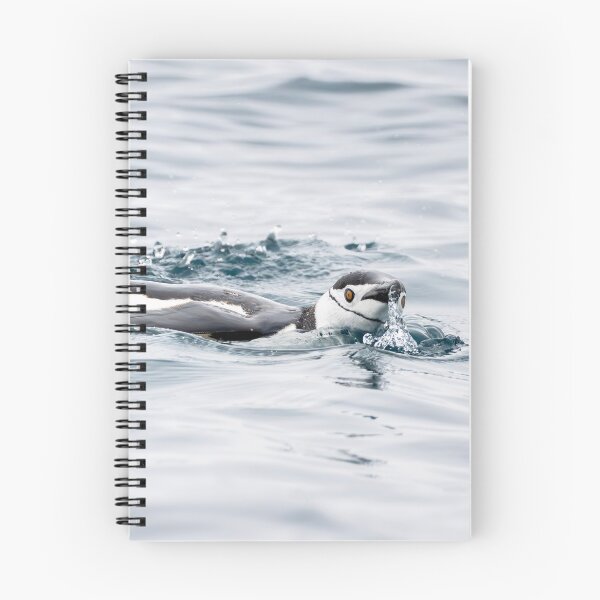 Item preview, Chinstrap Penguin Swimming designed and sold by PhotoArt by Joan Carroll.