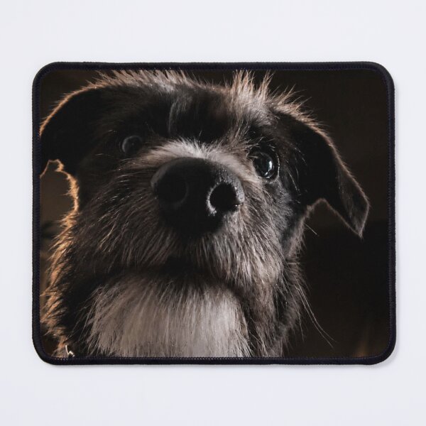 Item preview, Funny Dog Demanding Food Meme Graphic designed and sold by ZazuCo.