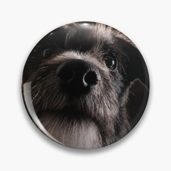 Item preview, Funny Dog Demanding Food Meme Graphic designed and sold by ZazuCo.