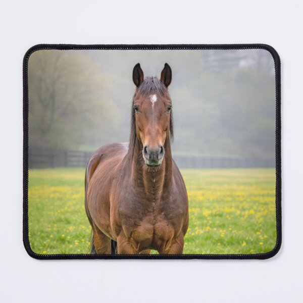 Item preview, Brown horse in misty spring field designed and sold by TerraMediaLLC.