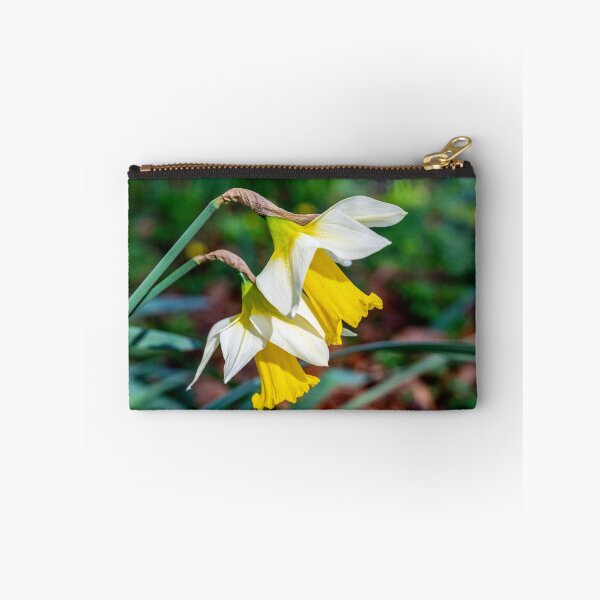 Item preview, Welsh Daffodils in Bloom designed and sold by VnGphoto.