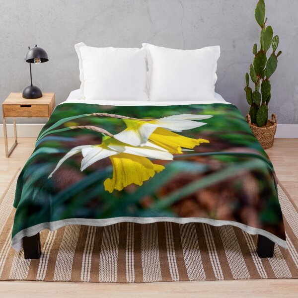 Item preview, Welsh Daffodils in Bloom designed and sold by VnGphoto.