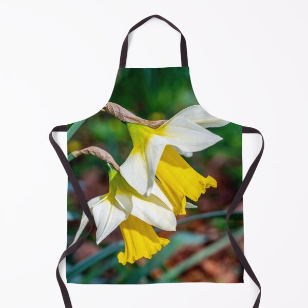 Item preview, Welsh Daffodils in Bloom designed and sold by VnGphoto.
