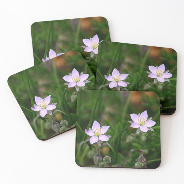 Item preview, Two Flowers designed and sold by Murph's Images.