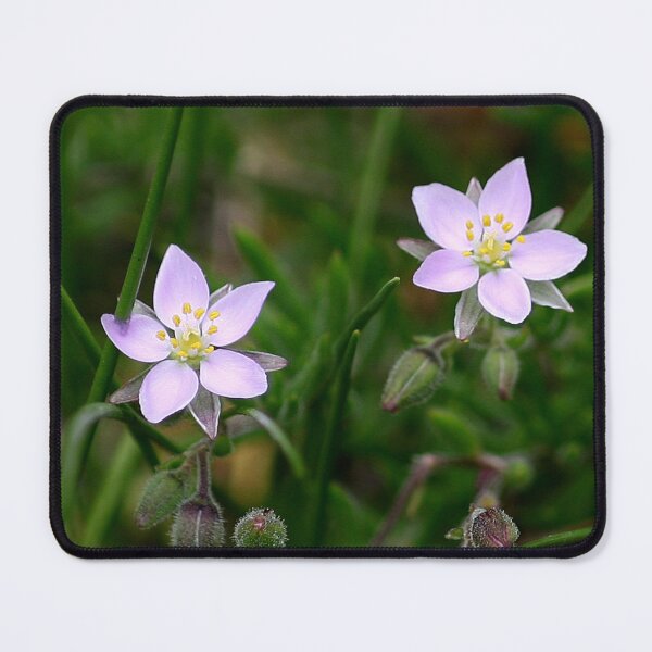 Item preview, Two Flowers designed and sold by Murph's Images.
