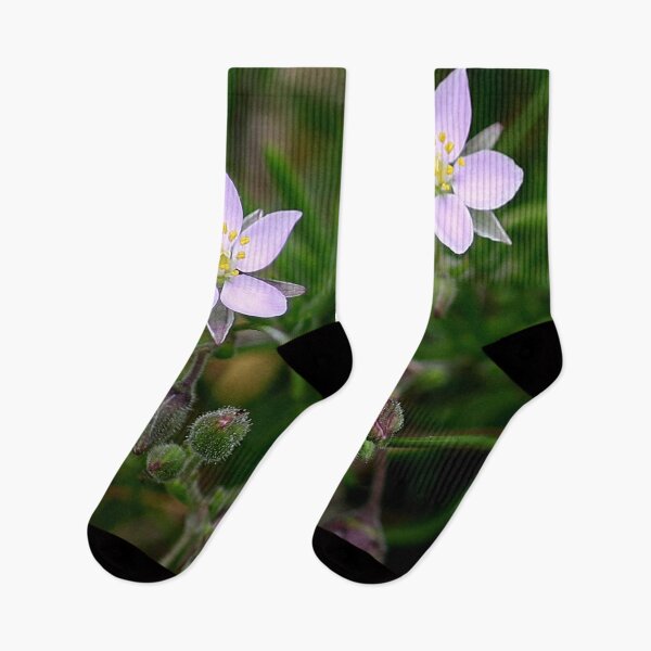 Item preview, Two Flowers designed and sold by Murph's Images.