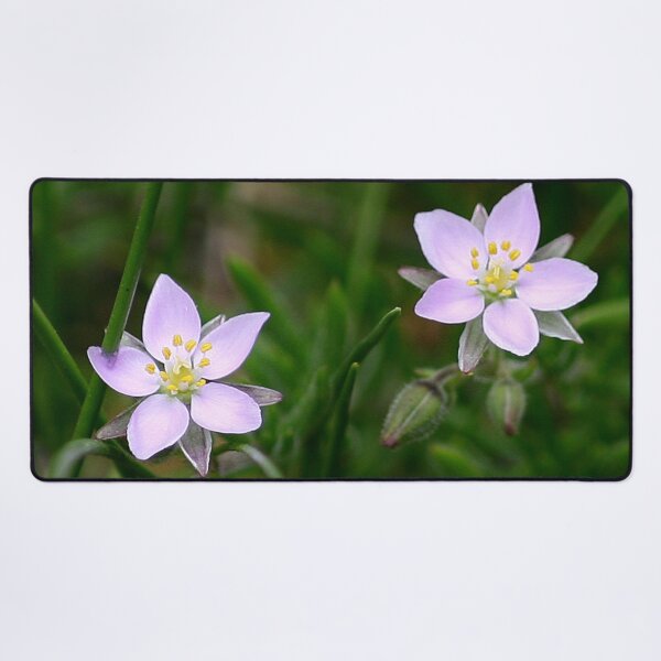 Item preview, Two Flowers designed and sold by Murph's Images.