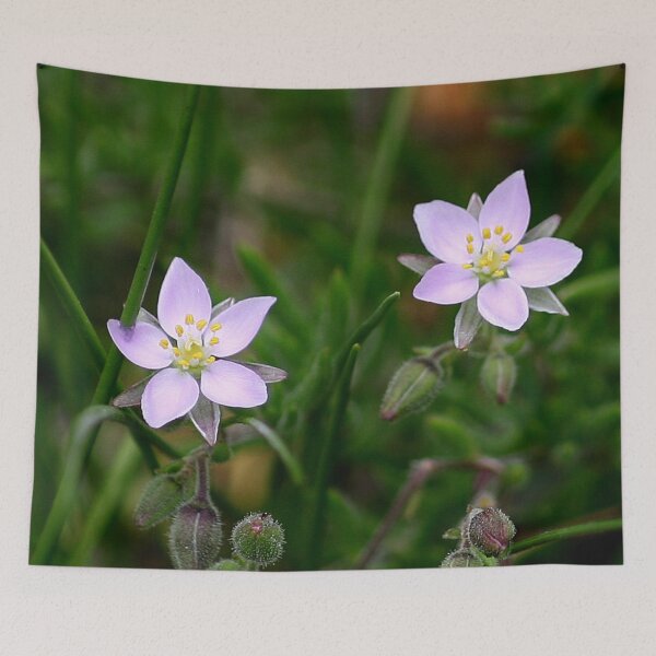 Item preview, Two Flowers designed and sold by Murph's Images.