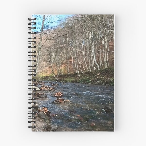 Item preview, Mountain River in Early Autumn – Scenic Nature from Romania designed and sold by MSMPrintDesign.