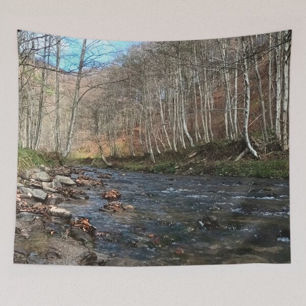 Item preview, Mountain River in Early Autumn – Scenic Nature from Romania designed and sold by MSMPrintDesign.