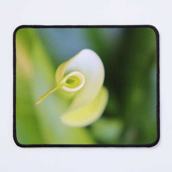 Item preview, Arum garden designed and sold by L'Atelier d'Aimee.
