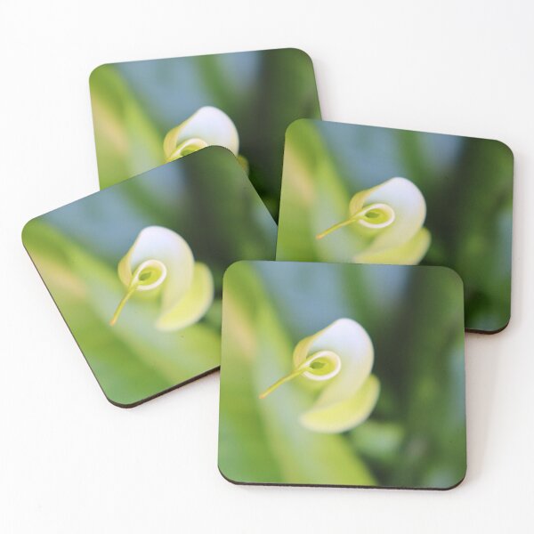 Item preview, Arum garden designed and sold by L'Atelier d'Aimee.