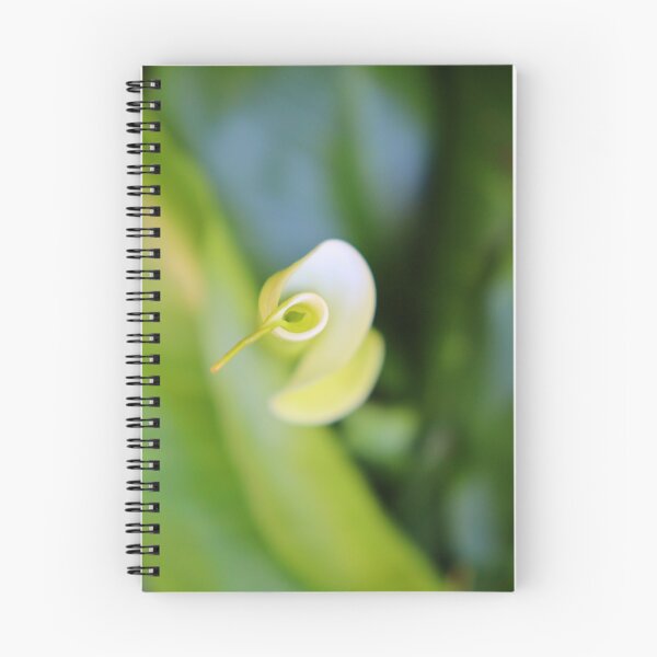 Item preview, Arum garden designed and sold by L'Atelier d'Aimee.