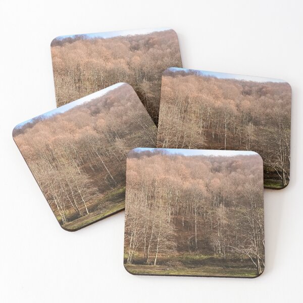 Item preview, Autumn Forest – Peaceful Mountain Landscape from Romania designed and sold by MSMPrintDesign.