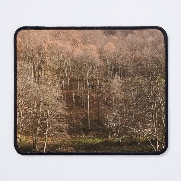Item preview, Autumn Forest – Peaceful Mountain Landscape from Romania designed and sold by MSMPrintDesign.