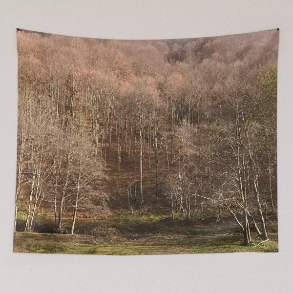 Item preview, Autumn Forest – Peaceful Mountain Landscape from Romania designed and sold by MSMPrintDesign.