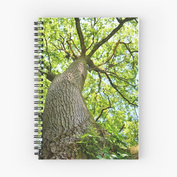 Item preview, Garden tree designed and sold by L'Atelier d'Aimee.