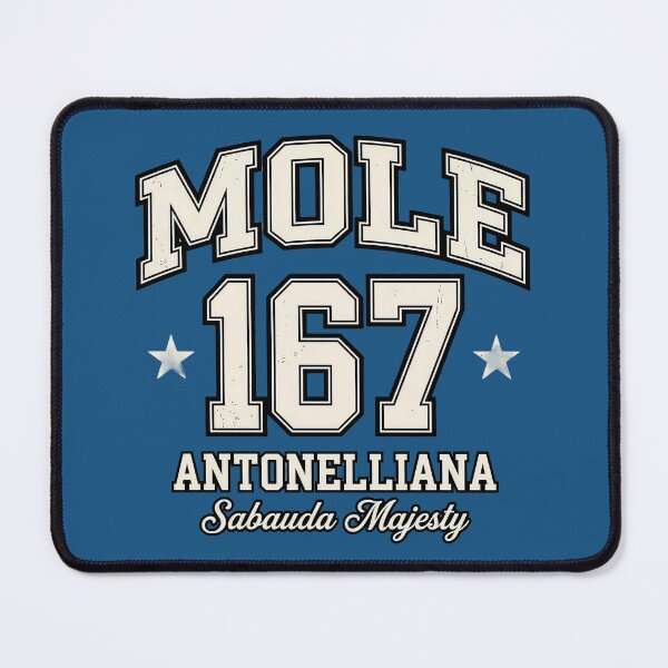 Item preview, Mole 167 Antonelliana - Sabauda Majesty Vintage Varsity designed and sold by Torinostalgia.