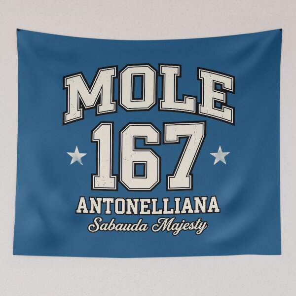 Item preview, Mole 167 Antonelliana - Sabauda Majesty Vintage Varsity designed and sold by Torinostalgia.