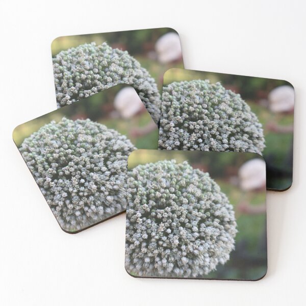 Item preview, Leek flower designed and sold by L'Atelier d'Aimee.