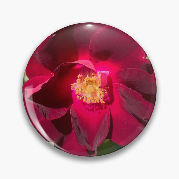 Item preview, Red Garden Rose  designed and sold by Amanda1775.