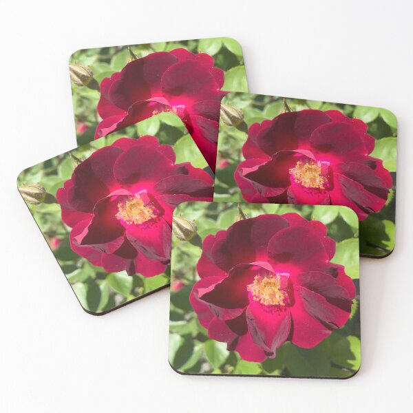 Item preview, Red Garden Rose  designed and sold by Amanda1775.