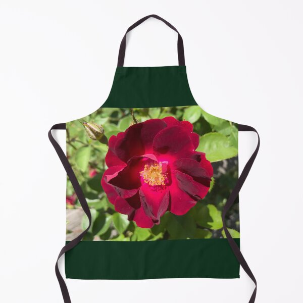 Item preview, Red Garden Rose designed and sold by Amanda1775.