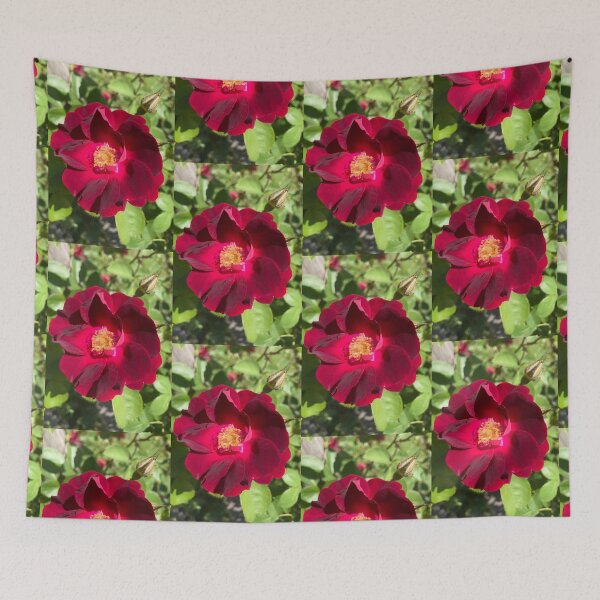 Item preview, Red Garden Rose  designed and sold by Amanda1775.