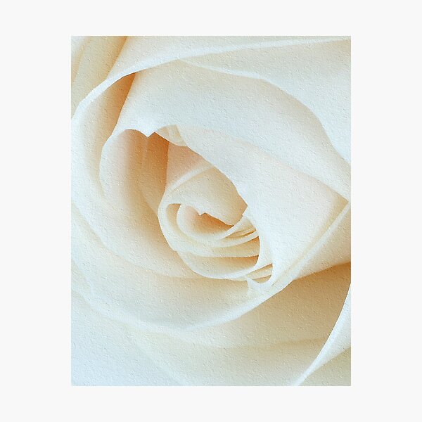 ~ Purity ~ Photographic Print