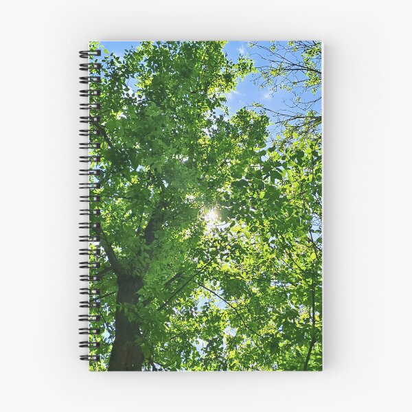 Item preview, Sunlight Through Tree Canopy – Looking Up at Green Leaves and Blue Sky Art - Romania designed and sold by MSMPrintDesign.