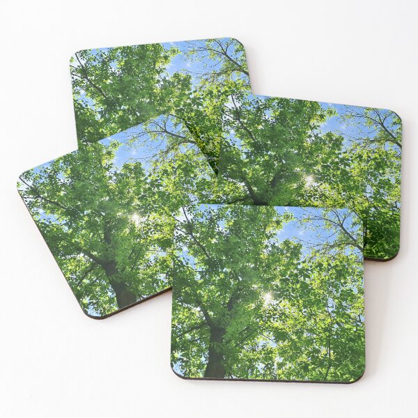 Item preview, Sunlight Through Tree Canopy – Looking Up at Green Leaves and Blue Sky Art - Romania designed and sold by MSMPrintDesign.