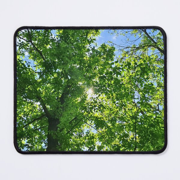 Item preview, Sunlight Through Tree Canopy – Looking Up at Green Leaves and Blue Sky Art - Romania designed and sold by MSMPrintDesign.