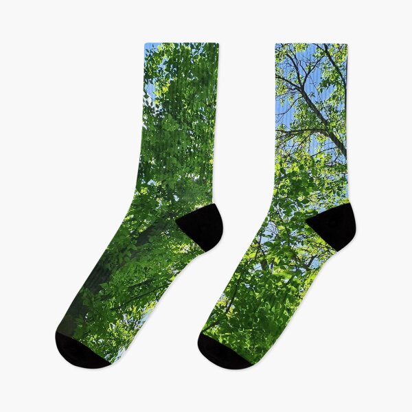 Item preview, Sunlight Through Tree Canopy – Looking Up at Green Leaves and Blue Sky Art - Romania designed and sold by MSMPrintDesign.