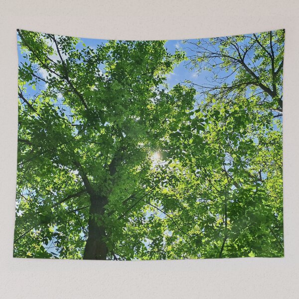Item preview, Sunlight Through Tree Canopy – Looking Up at Green Leaves and Blue Sky Art - Romania designed and sold by MSMPrintDesign.